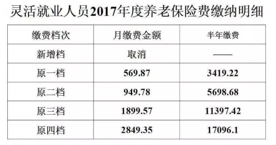 靈活就業(yè)人員養(yǎng)老保險.png