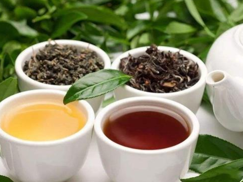 綠茶紅茶的區(qū)別.png