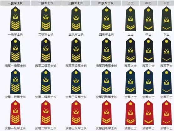 现役中国军人进行最低军衔是列兵,最高军衔是士官6.