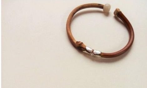 雞血藤.png 雞血藤.png