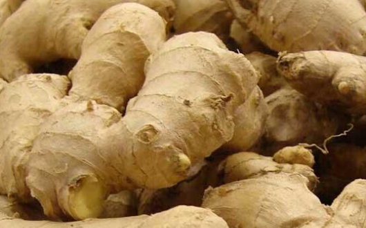 一堆生姜.png 一堆生姜.png