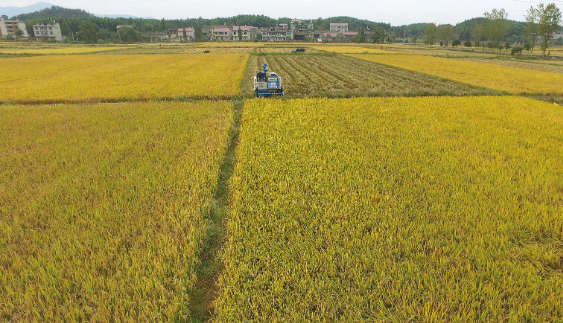 土地管理費.png 土地管理費.png