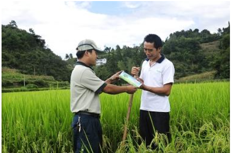 新農(nóng)保繳費與待遇