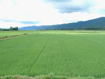 征地補(bǔ)償費(fèi)