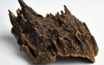 一畝沉香10年的收入