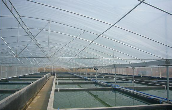 水產(chǎn)溫室.png