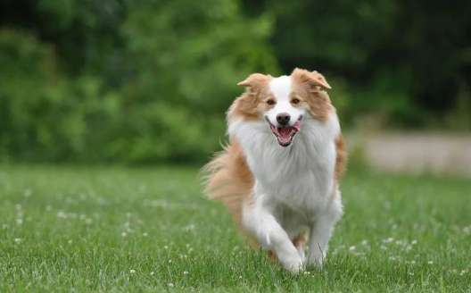 蘇牧.png 蘇牧.png