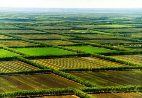 土地.jpg 土地.jpg