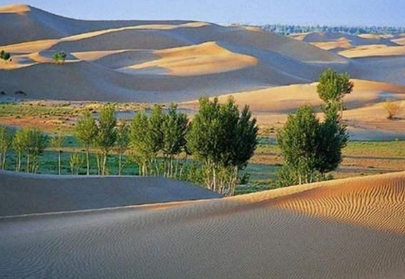 中国沙漠面积减少了吗,中国的八大沙漠是哪八个