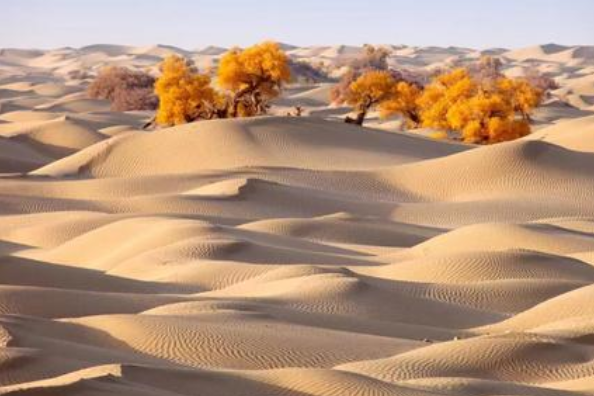 中国沙漠面积减少了吗,中国的八大沙漠是