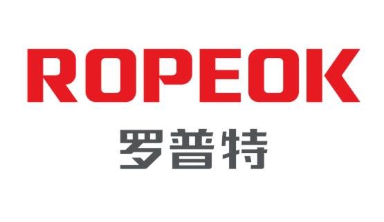 罗普特中签号是多少,688619罗普特中签号配号形成方式,公司竞争优势