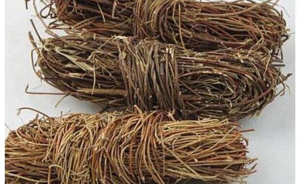 養(yǎng)肝草的功效與作用