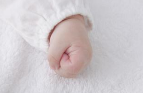 新生兒.png 新生兒.png