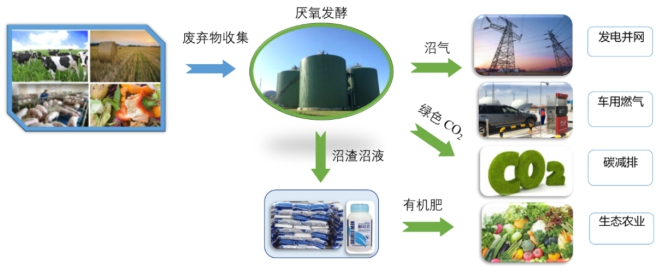 沼氣是可再生能源嗎 沼氣是可再生能源嗎