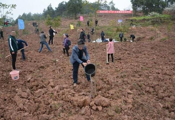 植樹活動.jpg 植樹活動.jpg