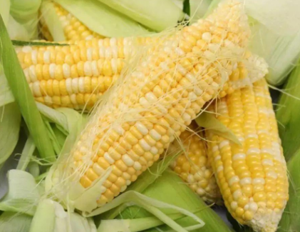 水果玉米營(yíng)養(yǎng).png 水果玉米營(yíng)養(yǎng).png