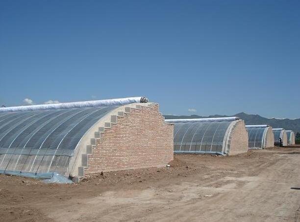 蔬菜大棚.jpg