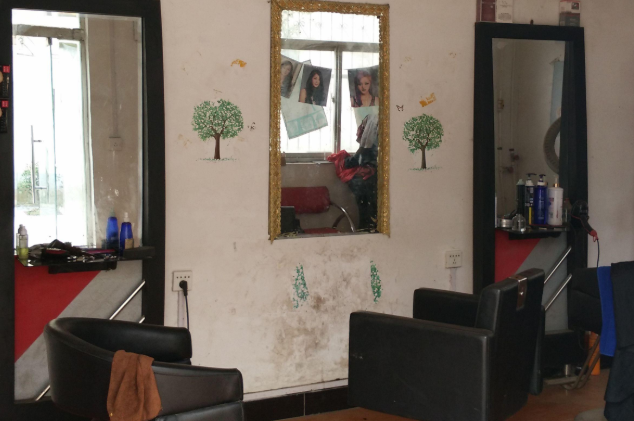 尋求農(nóng)村致富項(xiàng)目