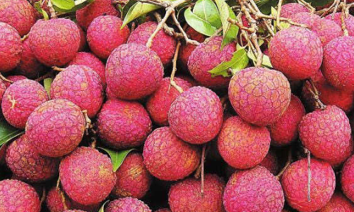 荔枝.png 荔枝.png