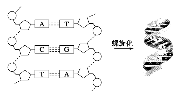 科学家提取165万年前猛犸象DNA