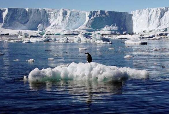 南极冰川融化.jpg