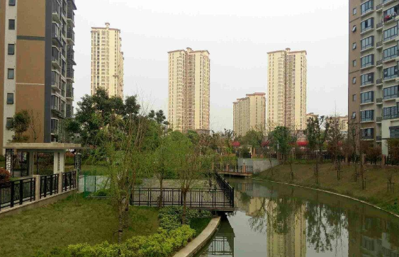 小區(qū)小河.png 小區(qū)小河.png