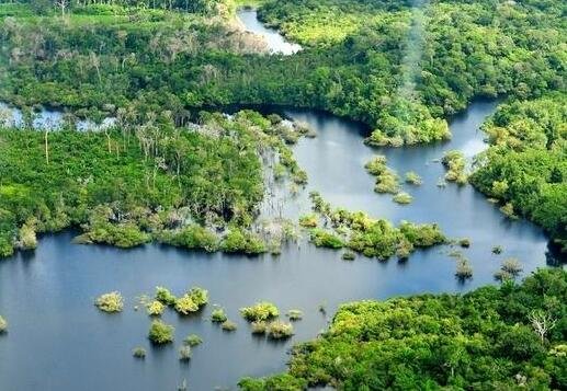 亚马逊河.jpg
