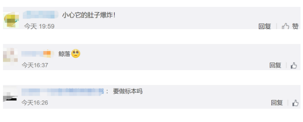 網(wǎng)友評論.png 網(wǎng)友評論.png