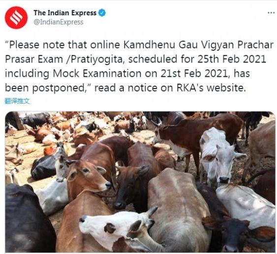 印度推出牛学考试