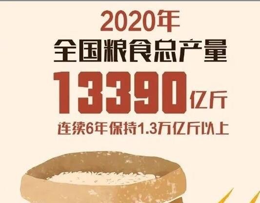 2020全国粮食总产量.jpg