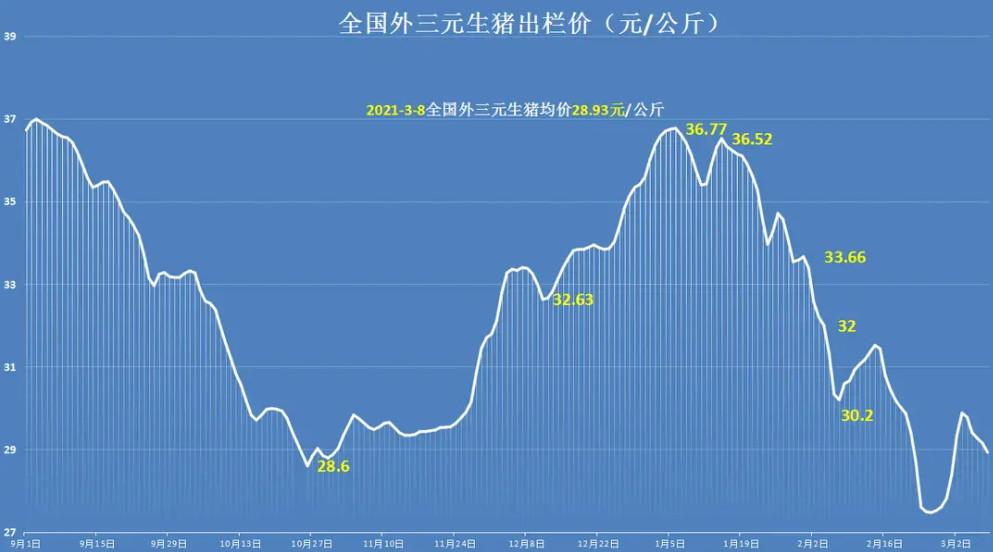 猪肉价格“跌跌不休”