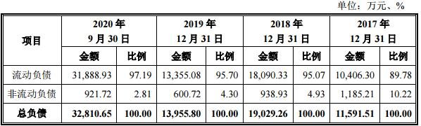 公司负债的总体情况.jpg