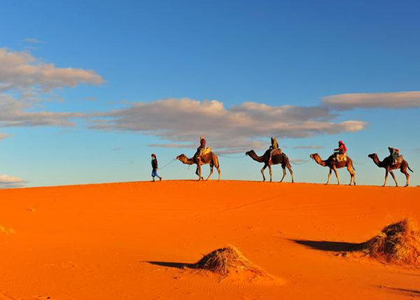 撒哈拉沙漠属于哪个国家撒哈拉沙漠人口分布情况如何撒哈拉绿化对气候