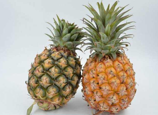菠蘿和鳳梨.png