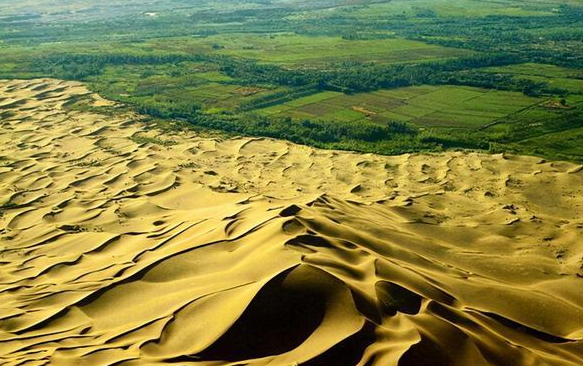 三北防護林.png 三北防護林.png