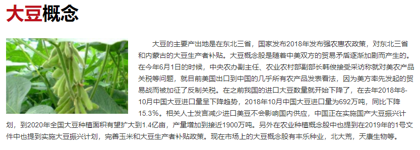 大豆概念.png