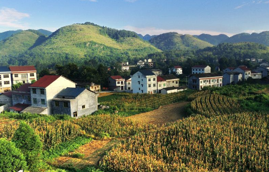 鄉(xiāng)下.png 鄉(xiāng)下.png