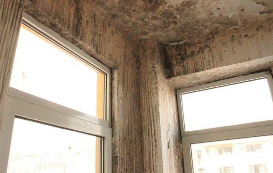 墻皮脫落.png 墻皮脫落.png