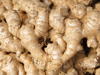 生姜種植技術(shù) 生姜種植技術(shù)