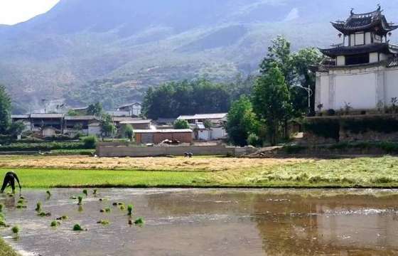 鄉(xiāng)下風(fēng)景.png 鄉(xiāng)下風(fēng)景.png