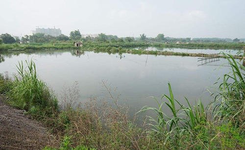 養(yǎng)殖業(yè)補貼 養(yǎng)殖業(yè)補貼