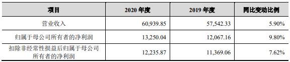 公司2020年度经审阅的主要业绩数据2.jpg