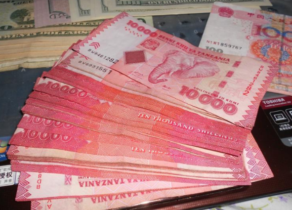 坦桑尼亚货币.png