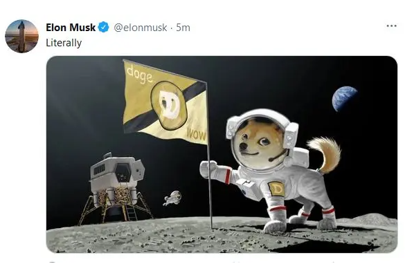 SpaceX要带狗狗币上月球是什么意思，狗狗币是什么，会有什么影响