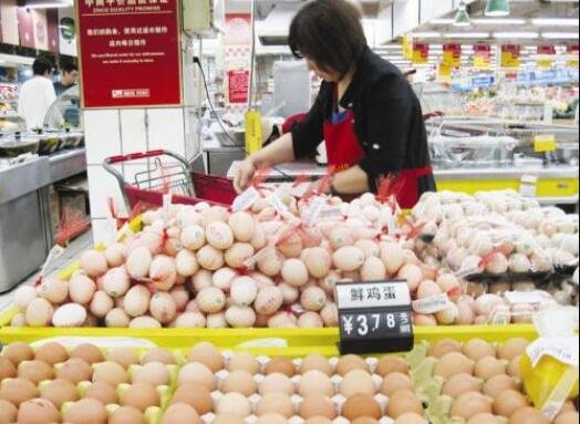 超市卖鸡蛋.jpg