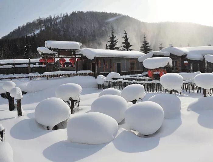 哈爾濱房?jī)r(jià) 哈爾濱房?jī)r(jià)