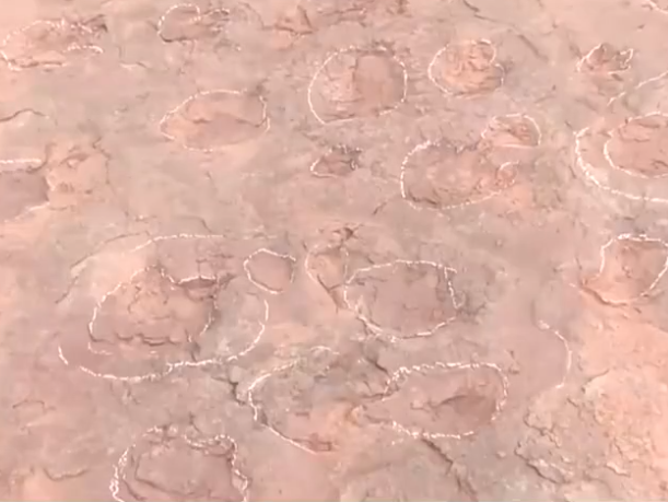 恐龍足跡.png 恐龍足跡.png