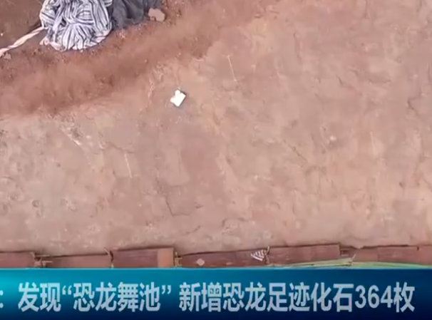 足跡群.png 足跡群.png