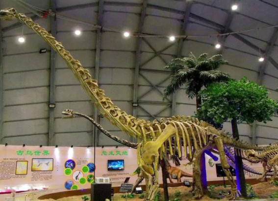 遼寧古生物博物館.png 遼寧古生物博物館.png