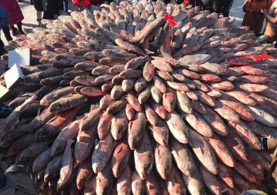 查干湖冬捕.png 查干湖冬捕.png